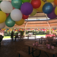 Carnival-2